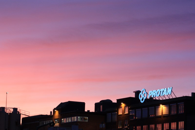 Konsernledelsen i Protan