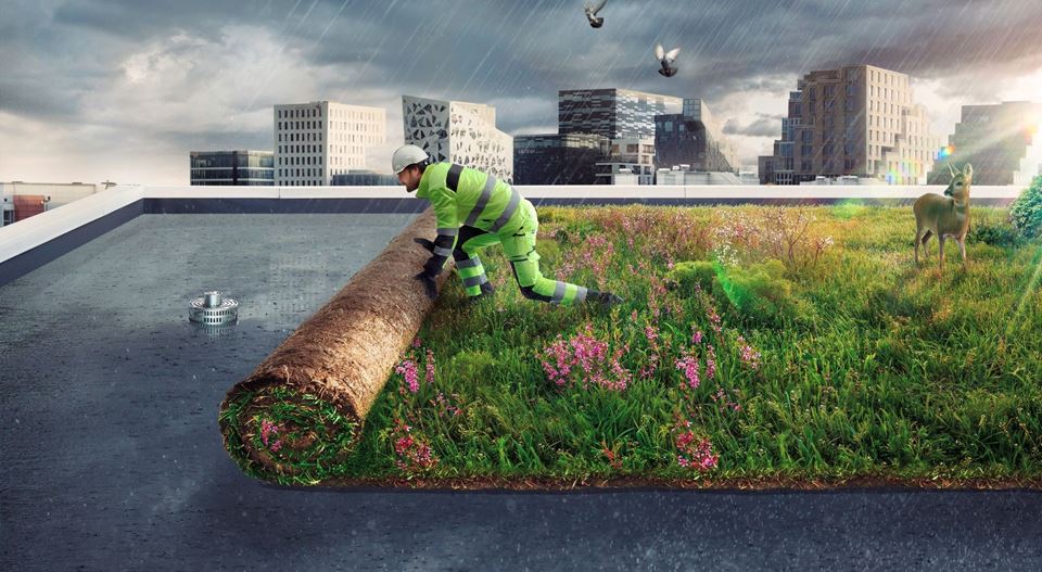 Sustainability Manager