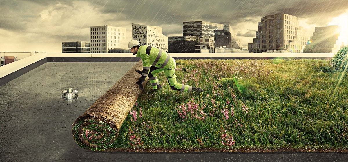Grønne tak vekker bygninger til liv