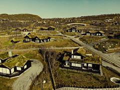 Løsninger for grønne og ballasterte tak