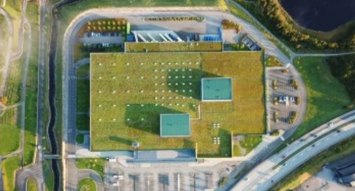Ekstensive grønne tak
