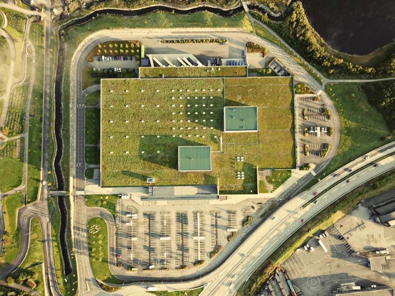 Ekstensive grønne tak