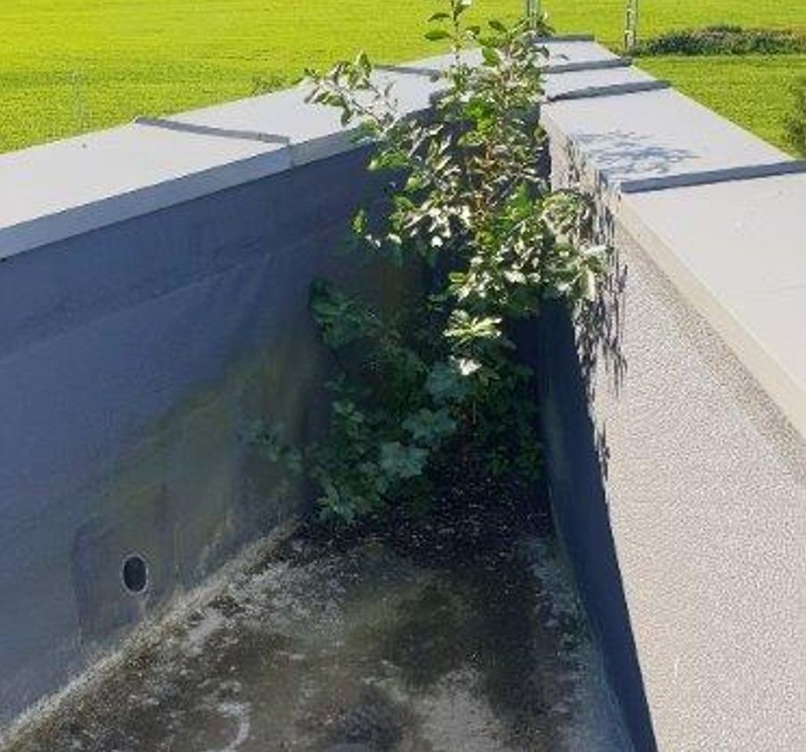 Ut i naturen.jpg