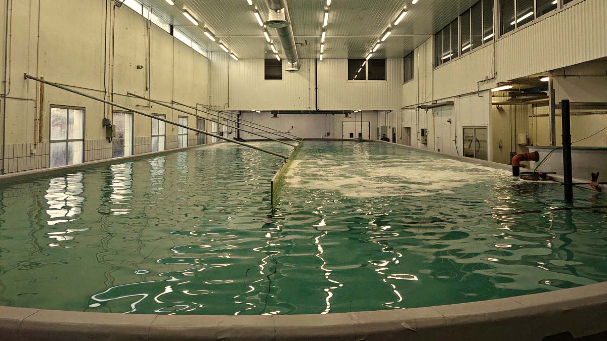 Rekeproduksjon med trygg duk fra Protan